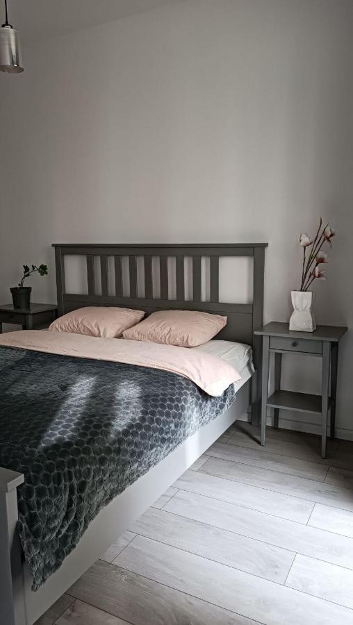 Apartment Z Ogrodkiem Na Warszawskiej Woli Varşova Dış mekan fotoğraf